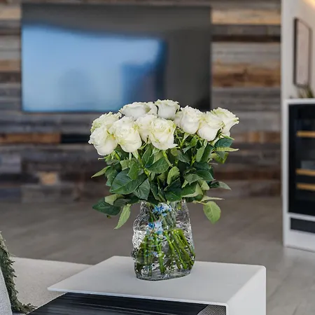 アパート White Haven *