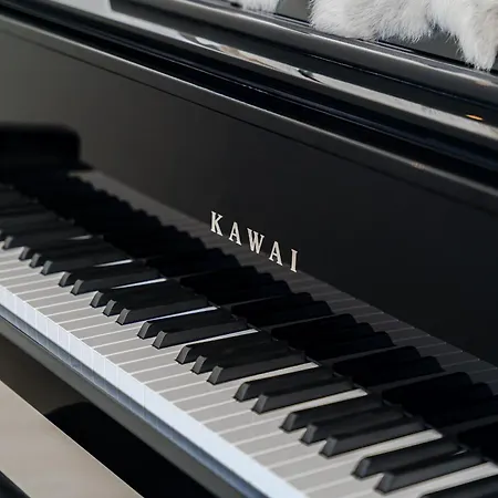 White Haven アデヘ